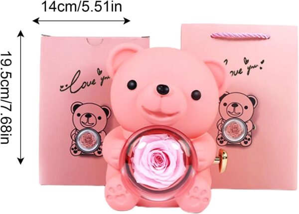 Rotating Hugging Ber, Gift Box, Pink