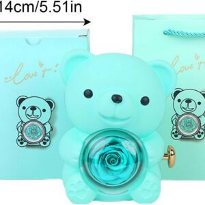 Rotating Hugging Ber, Gift Box, Blue